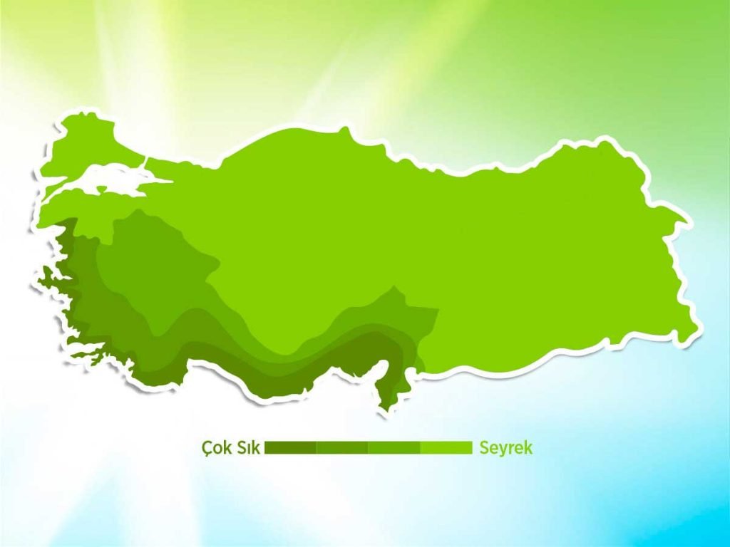 trabzon-hurmasinin-kurtlanma-sebebi-akdeniz-meyve-sineği-haritası